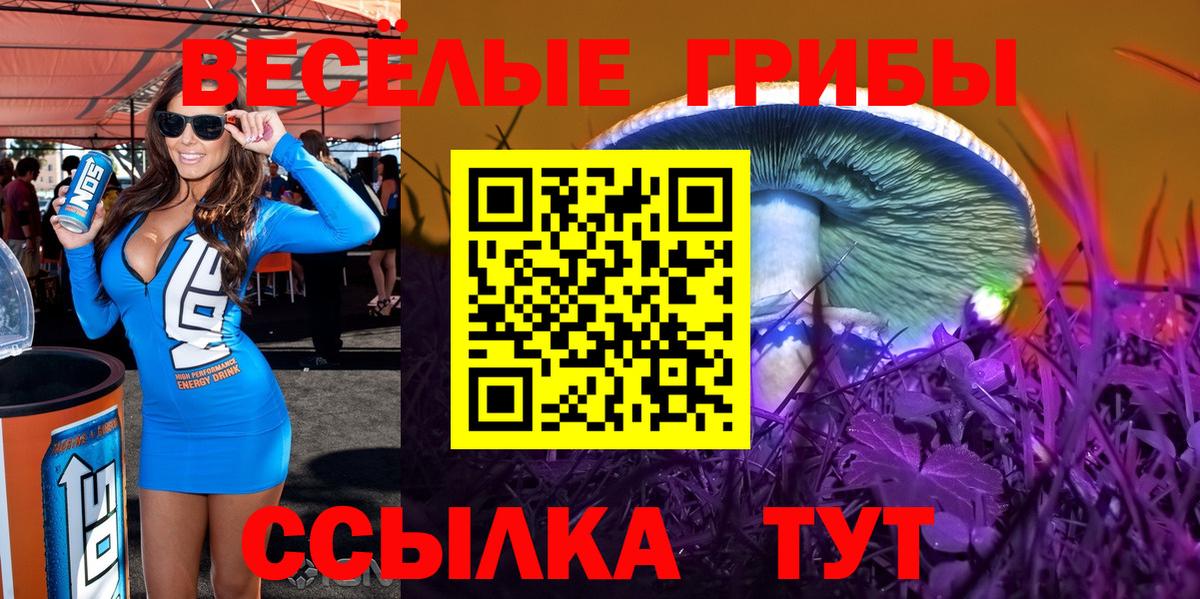 Галлюциногенные грибы Magic Shrooms  Галлюциногенные грибы прущие грибы  Вход с VPN  даркнет сайт  Бор 