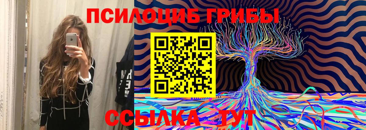 Галлюциногенные грибы Psilocybine cubensis Бор